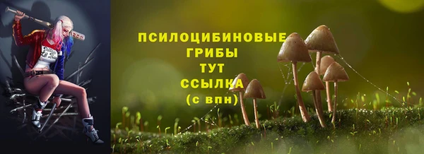 таблы Бутурлиновка